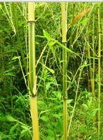乐居乐建材商城